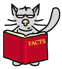 click here for many cat facts 