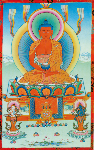 May our sweet non human animal friends dwell in peace and happiness in Dewachen, Amitabha's pure realm. 